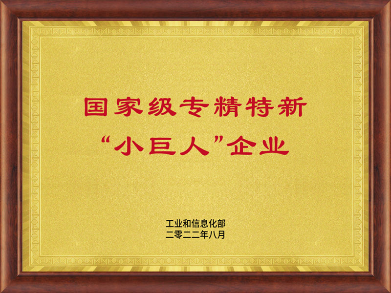 国家级专精特新“小巨人”企业